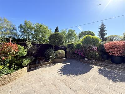 Picture 20